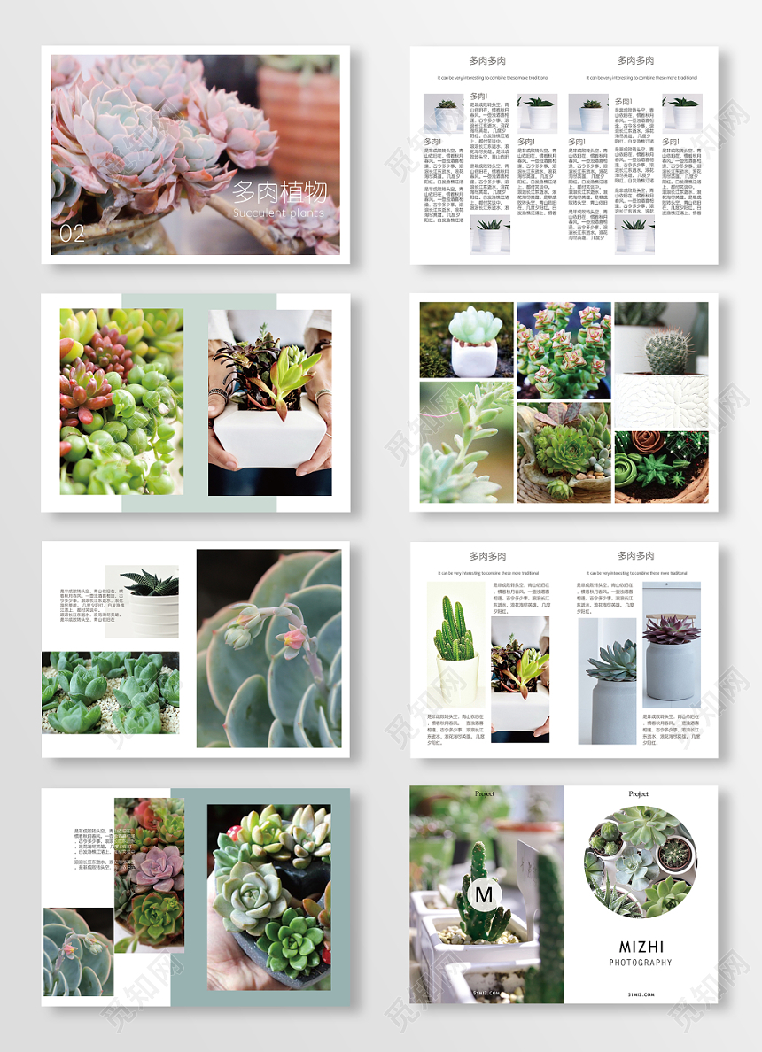 简约清新多肉植物公司产品农业画册宣传册