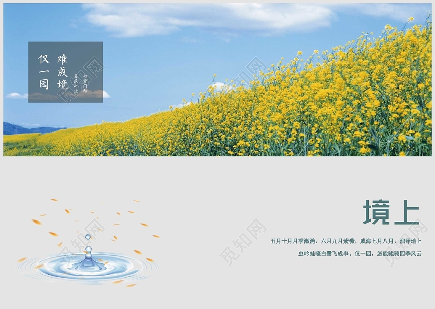 清新淡雅自宣传公司产品宣传画册封面