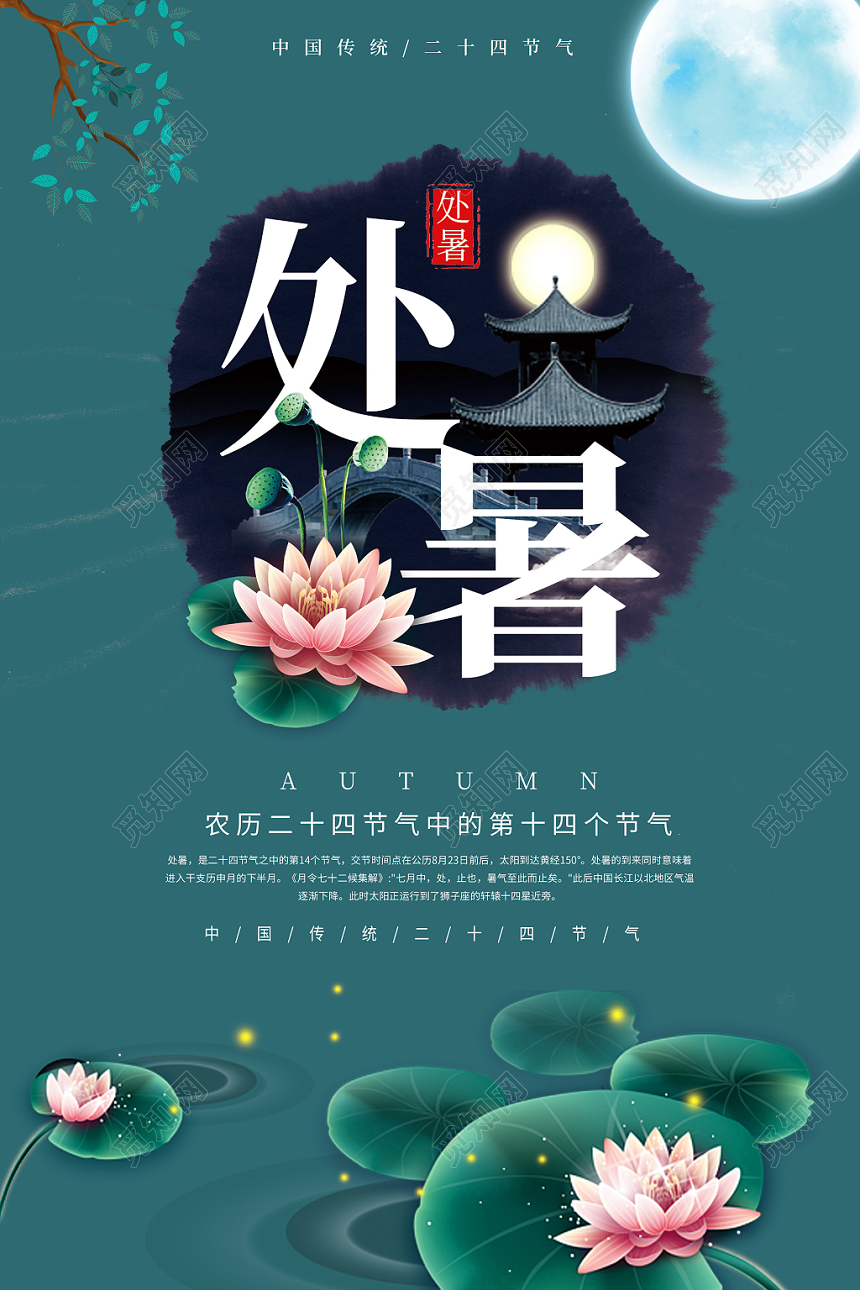 简约荷花二十四节气处暑宣传海报