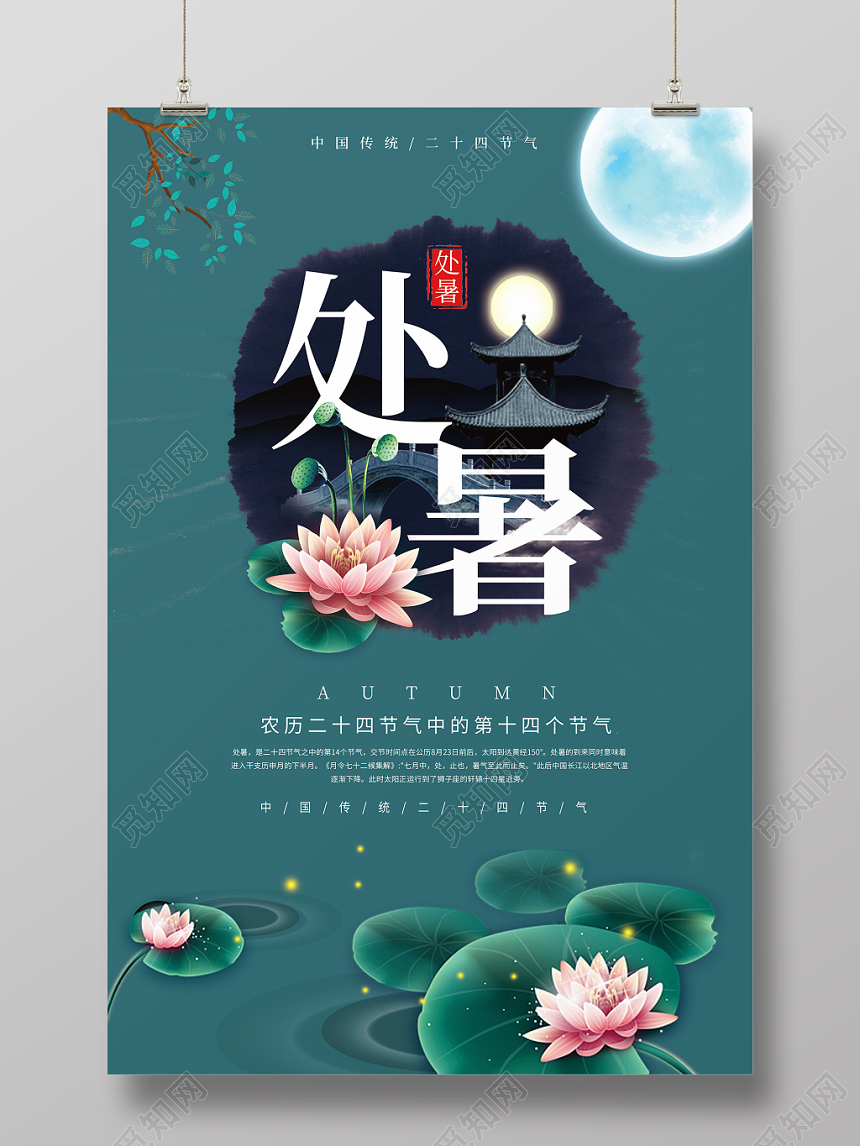 简约荷花二十四节气处暑宣传海报