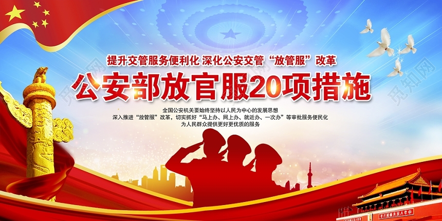 红色党建党政党课公安部放管服20项措施宣传展板设计