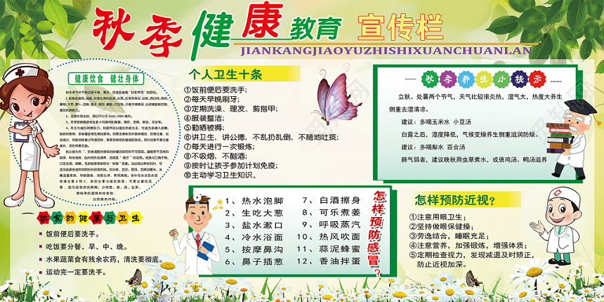 绿色秋季健康教育卫生养生宣传栏展板