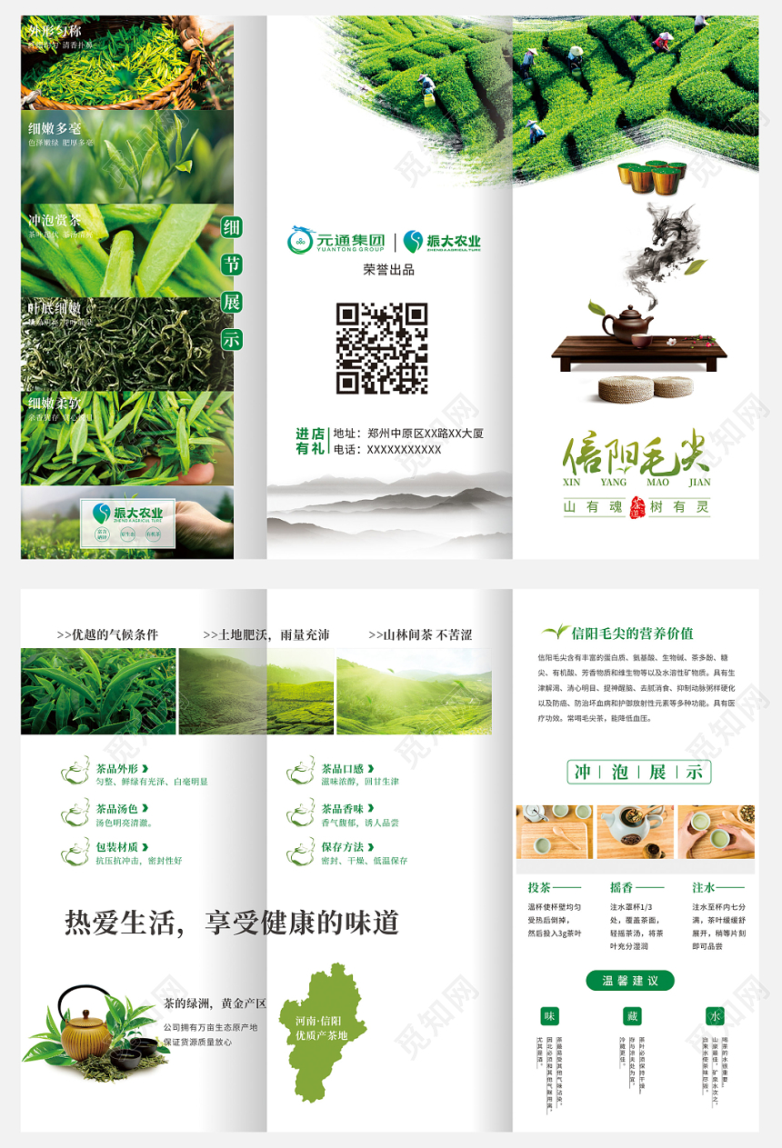 绿色清新茶叶三折页