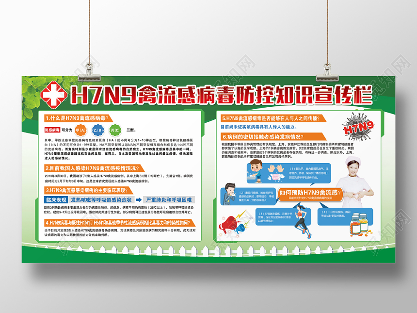 简约绿色H7N9禽流感病毒防控知识宣传栏健康宣传栏