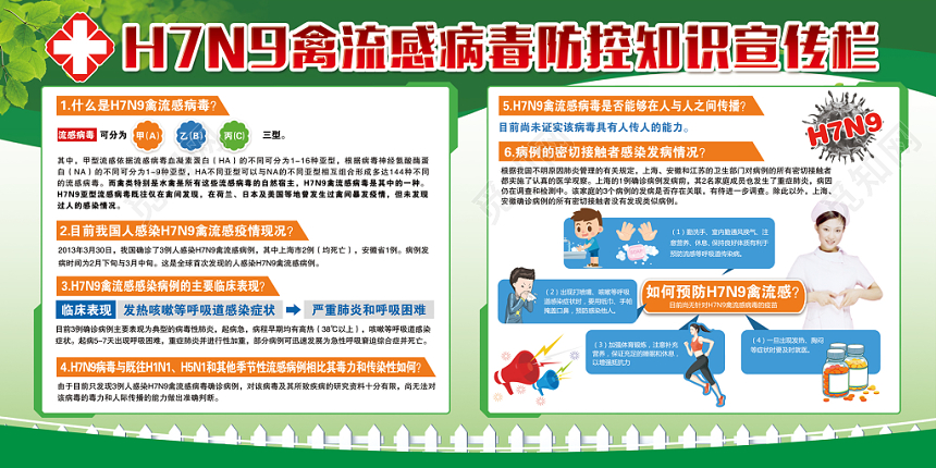 简约绿色H7N9禽流感病毒防控知识宣传栏健康宣传栏