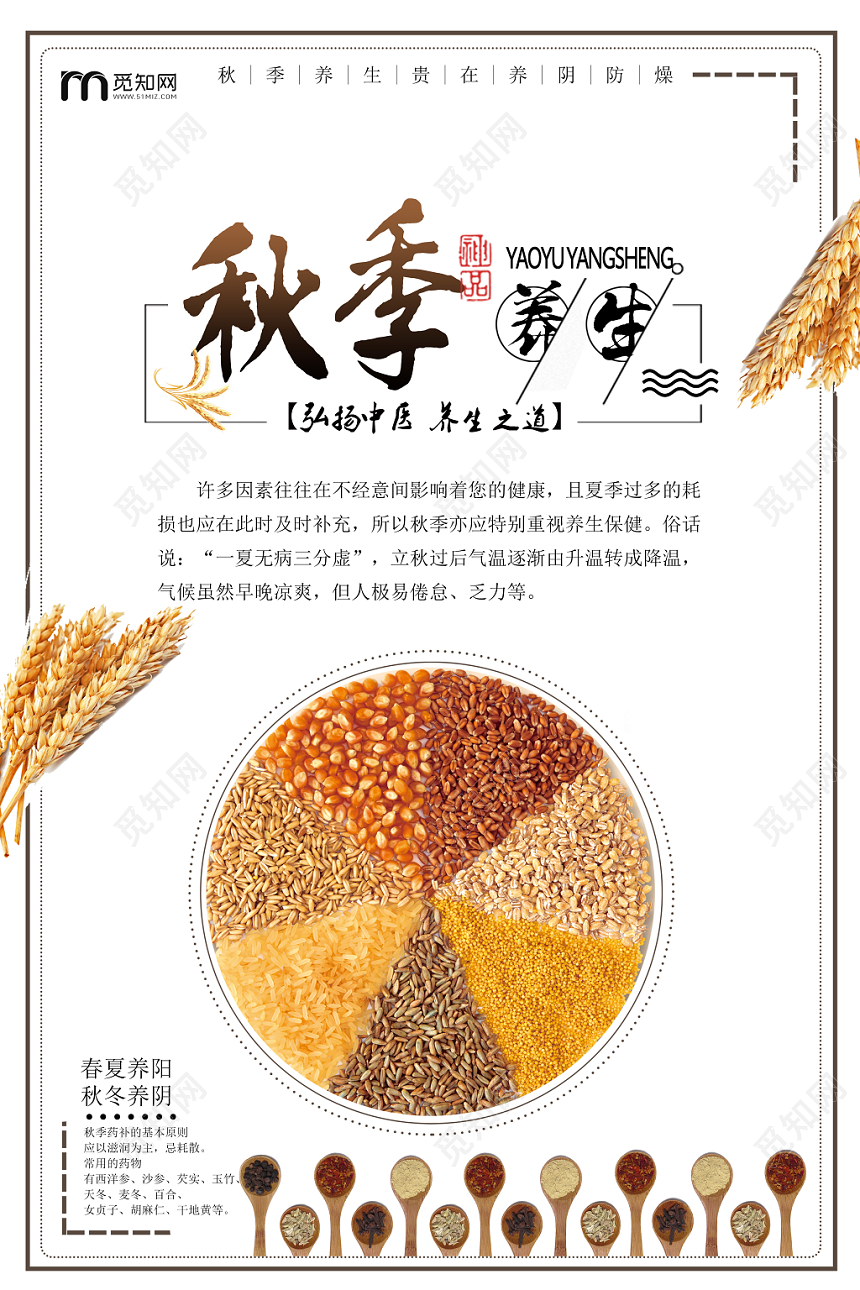 秋天白色简洁健康秋季养生之道海报