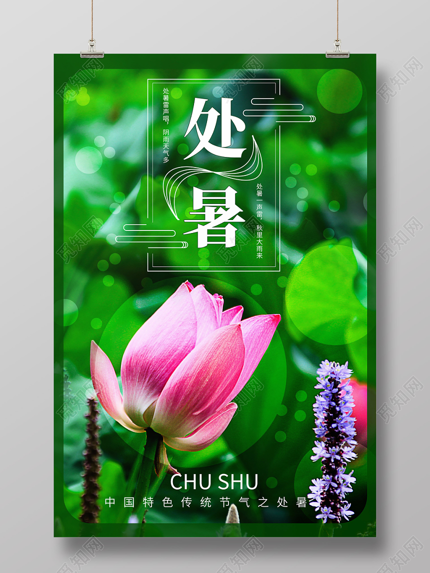 实拍荷花二十四节气处暑海报