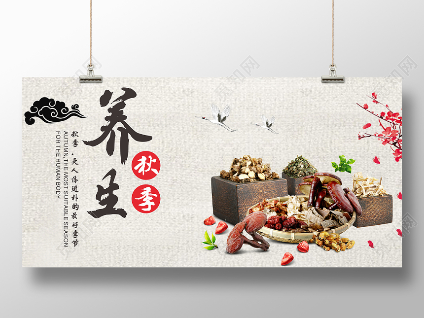 秋季养生中国风简约中药浅色平面设计展板