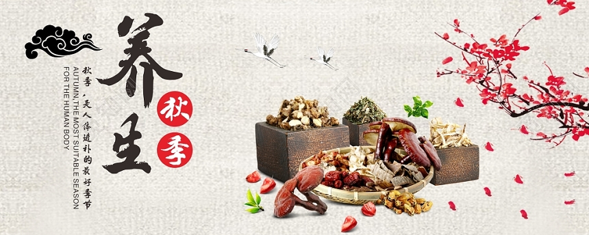 秋季养生中国风简约中药浅色平面设计展板