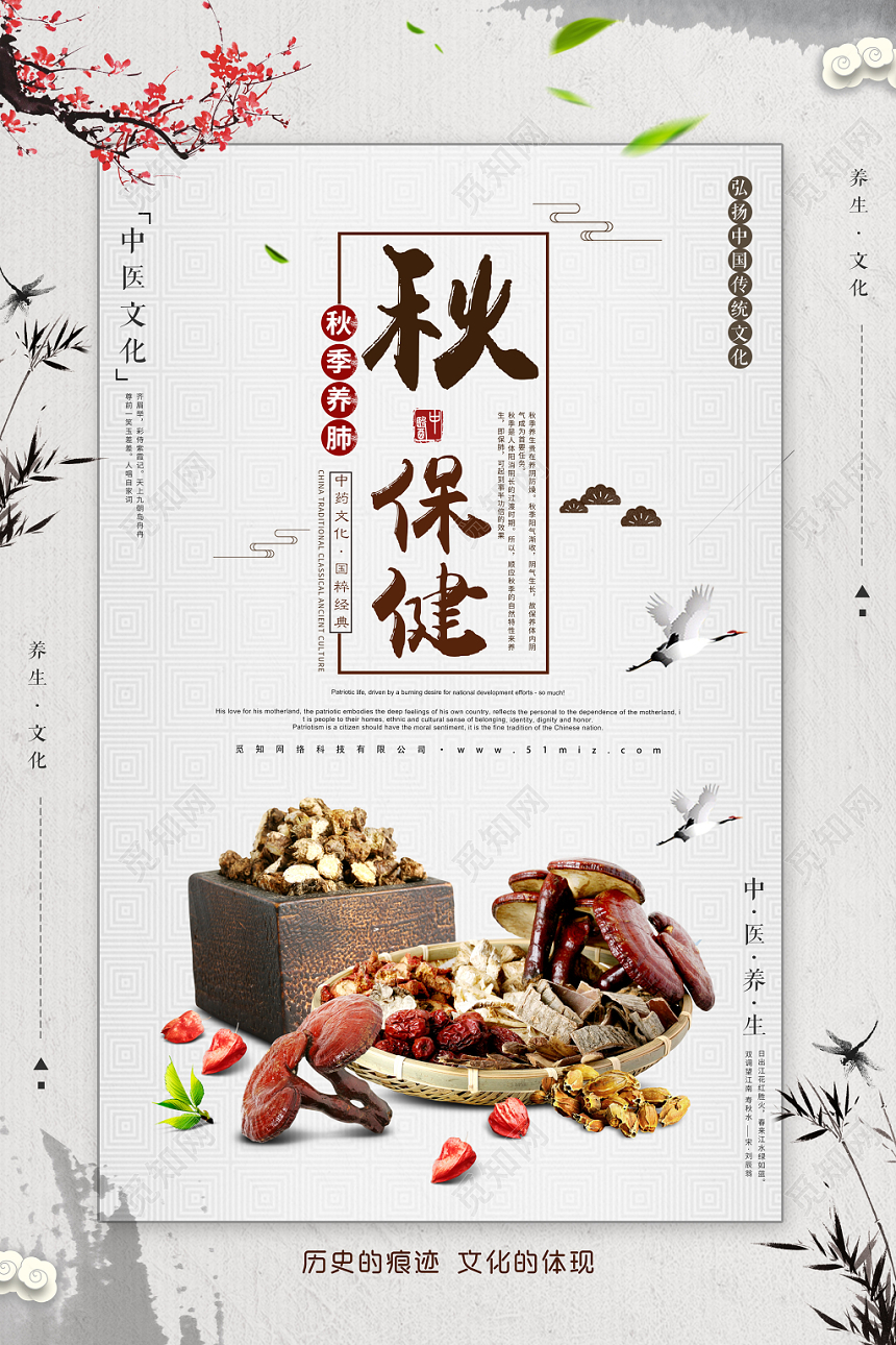 中国风背景秋季养肺保健中医文化养生秋天海报