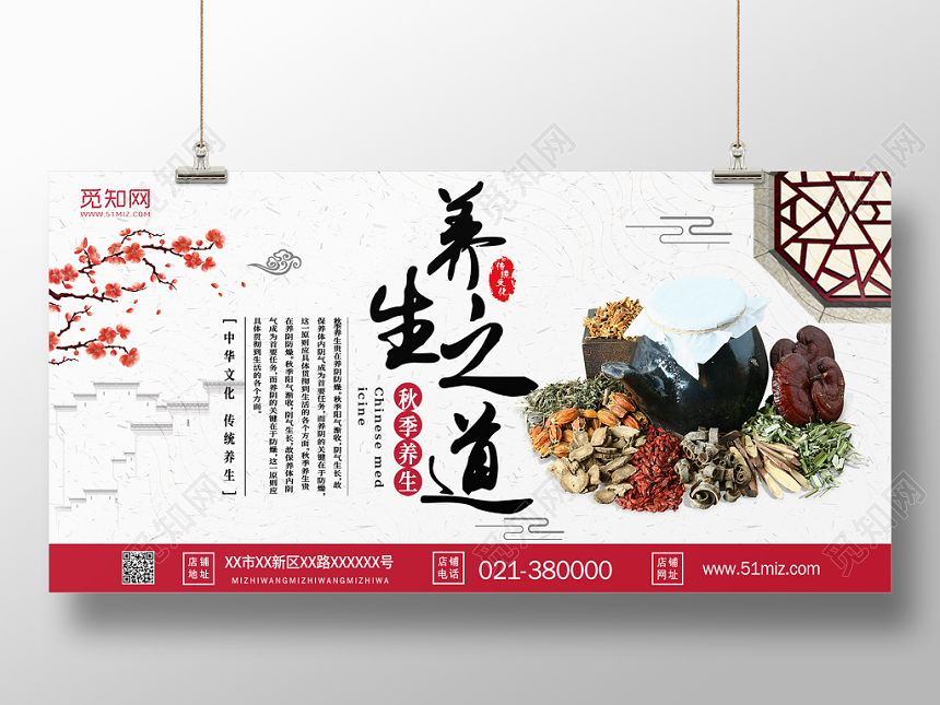 秋天秋季养生节养生之道展板
