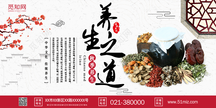 秋天秋季养生节养生之道展板