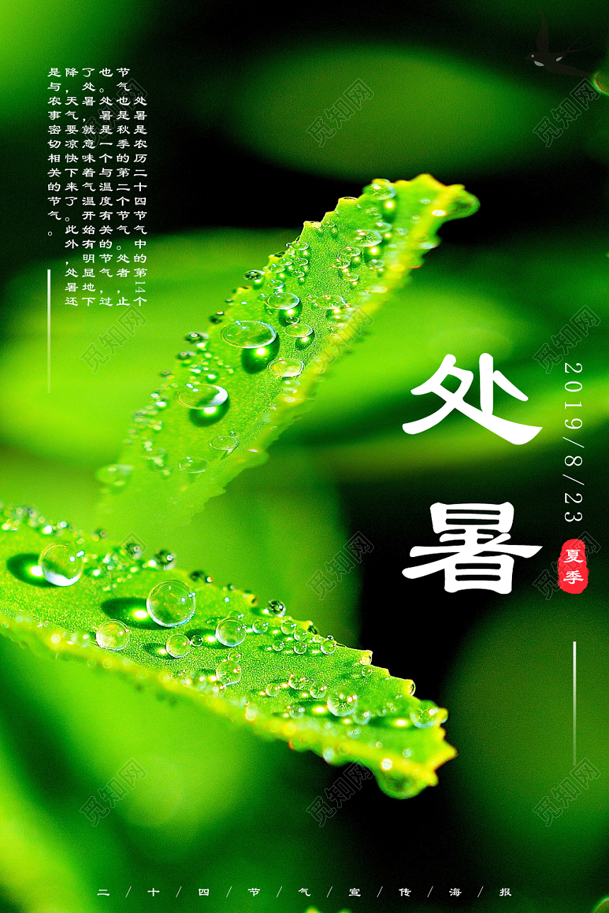 实拍创意简约风处暑二十四节气宣传海报