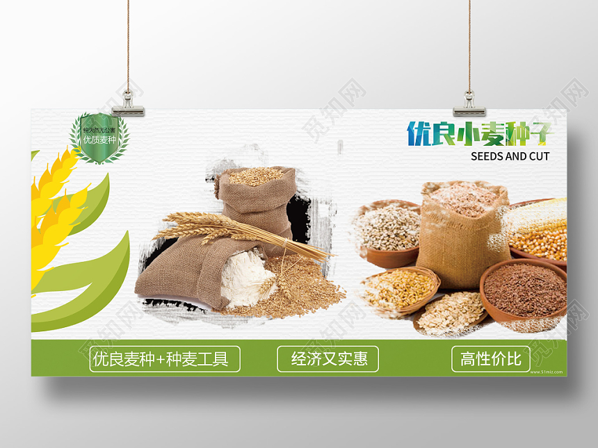 白色绿色清新丰收优良小麦种子农业展板