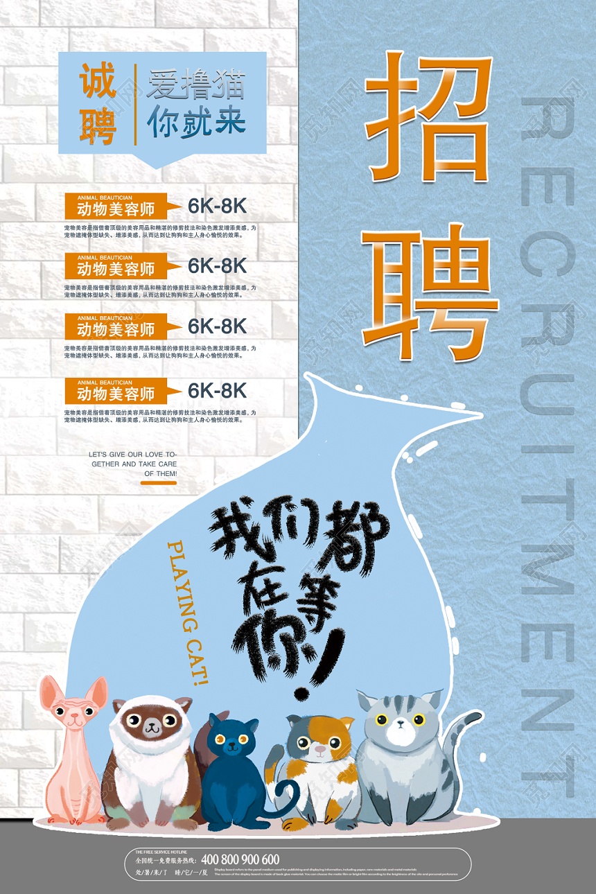 卡通大气猫咪动物宠物店宠物美容师招聘宣传海报