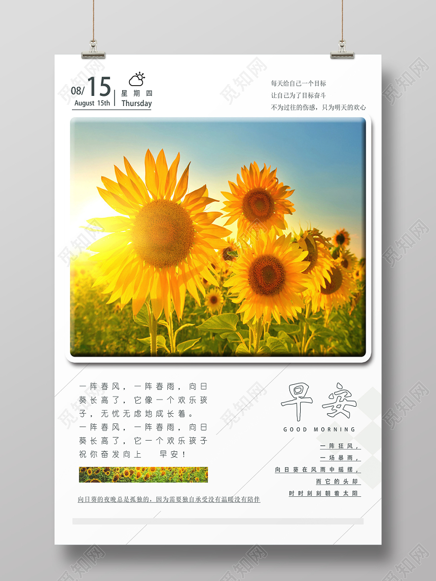 早安图白背景温暖简单风早安向日葵海报