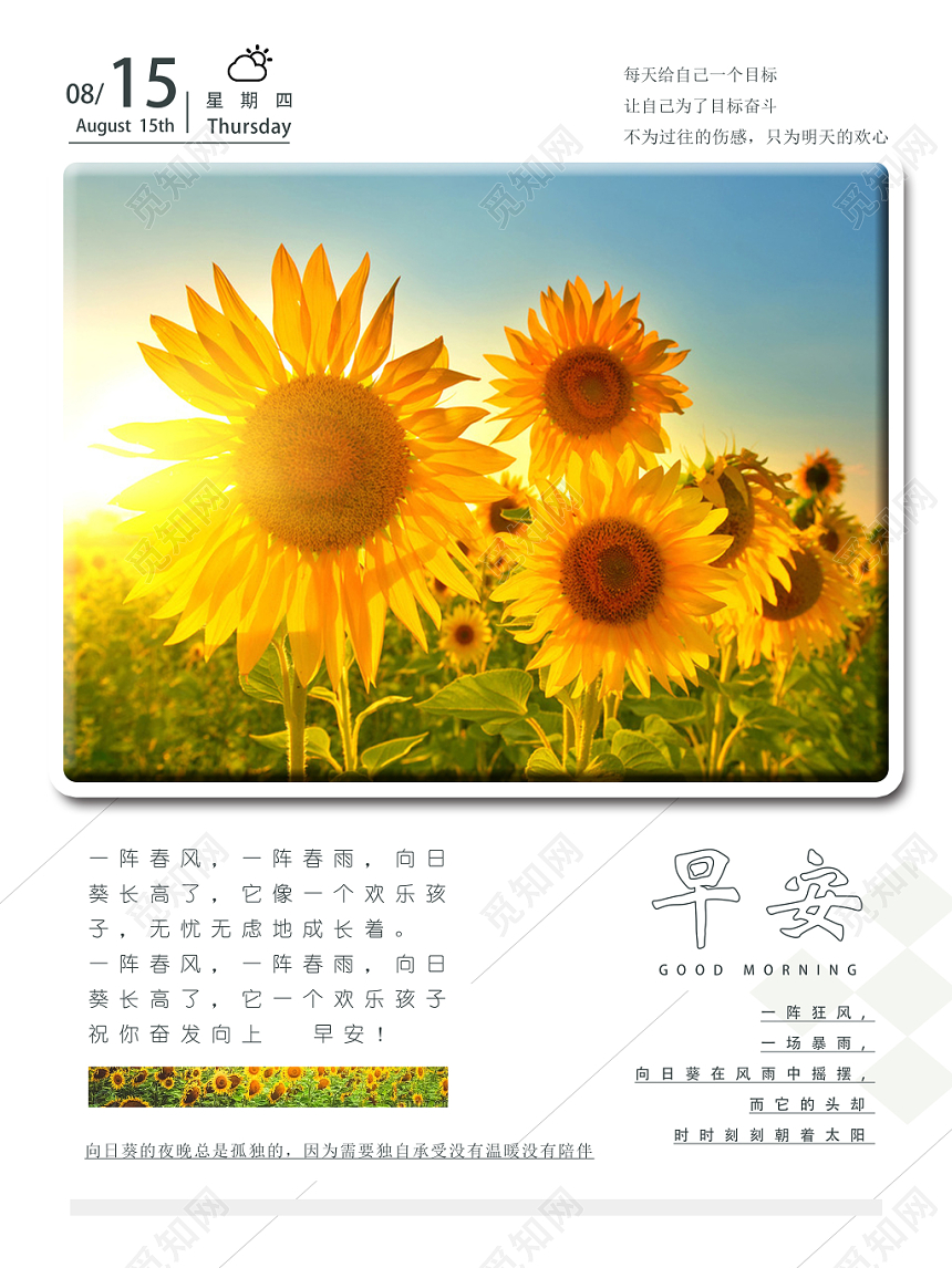 早安图白背景温暖简单风早安向日葵海报