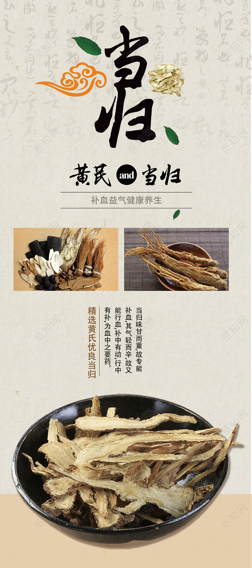 简约大气当归药材宣传展架易拉宝