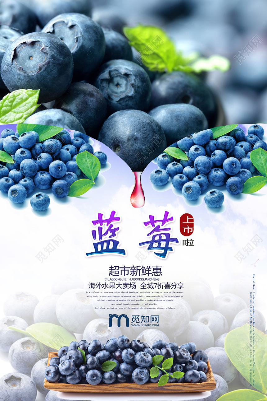 蓝色个性创意水果蓝莓海报