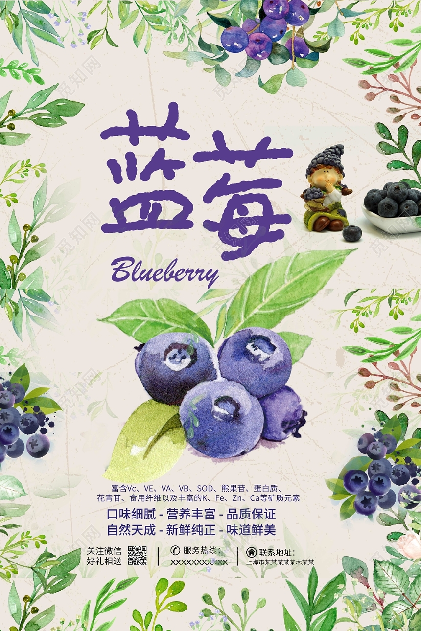 小清新手绘水果蓝莓促销海报