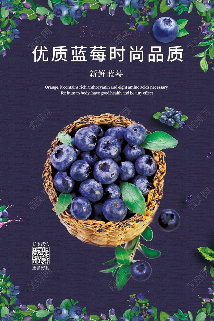 紫色品质优质蓝莓时尚品质促销海报