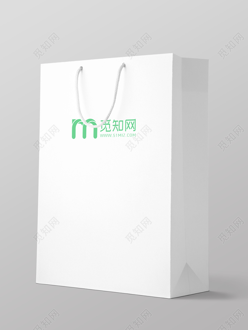 美妆白色简洁商务手提袋样机