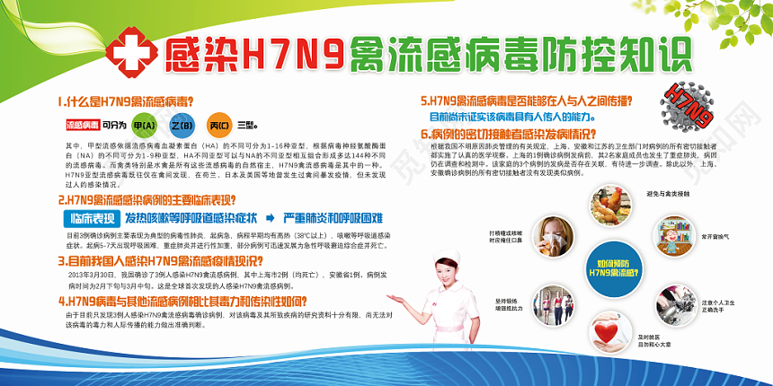 活动宣传栏环保简约感染N7N9禽流感病毒防控知识医疗展板
