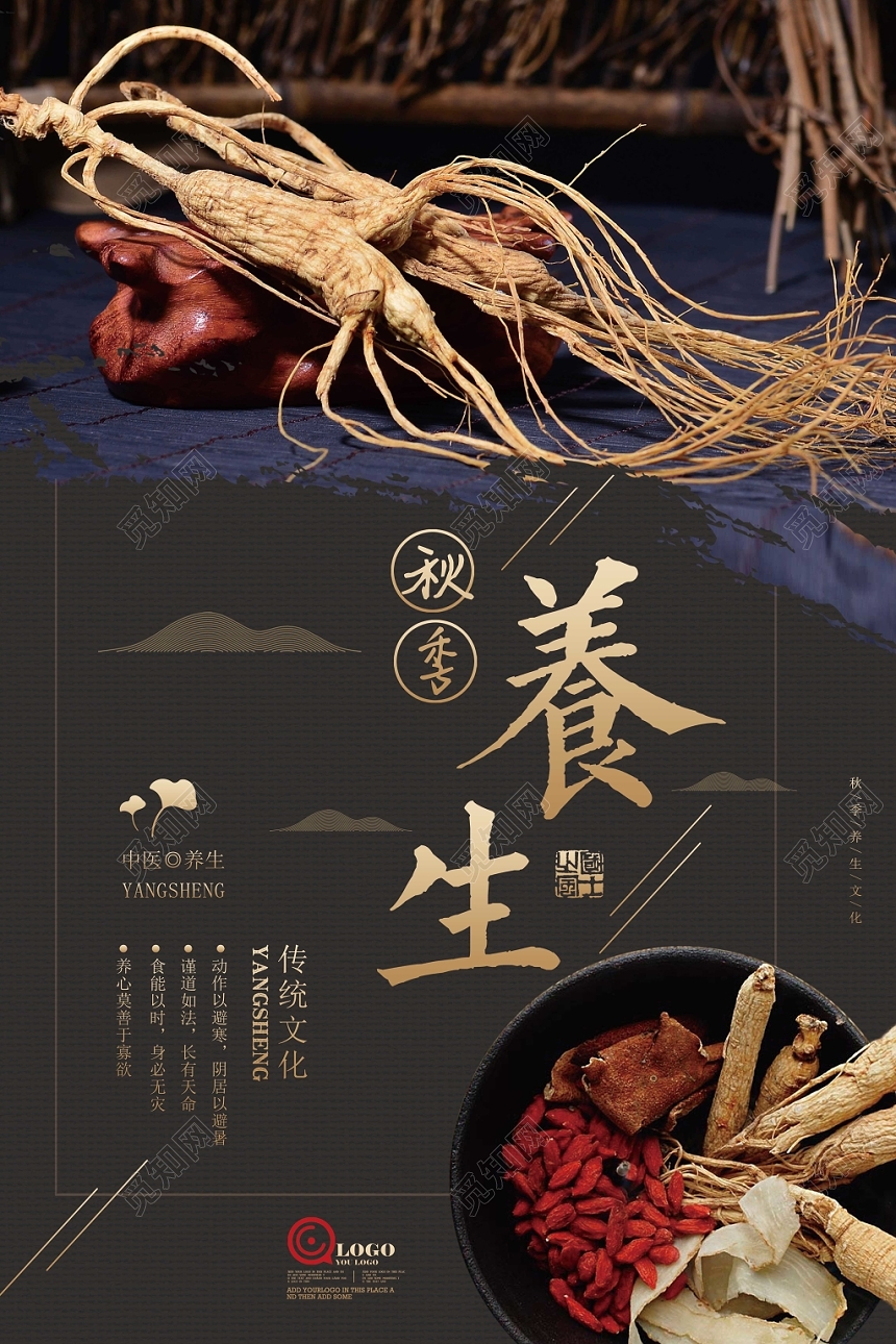 秋季养生药膳海报