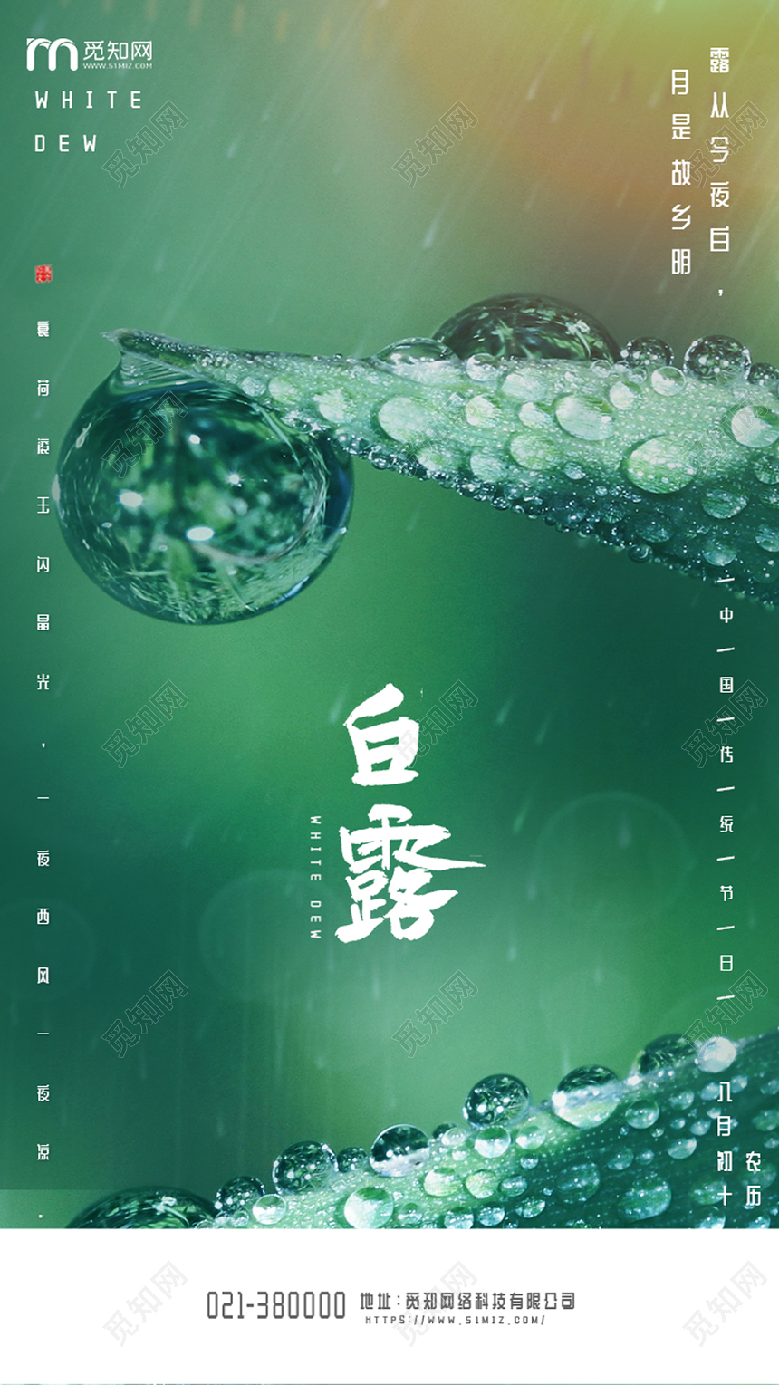 绿色自然二十四节气八月初十白露绿叶宣传海报