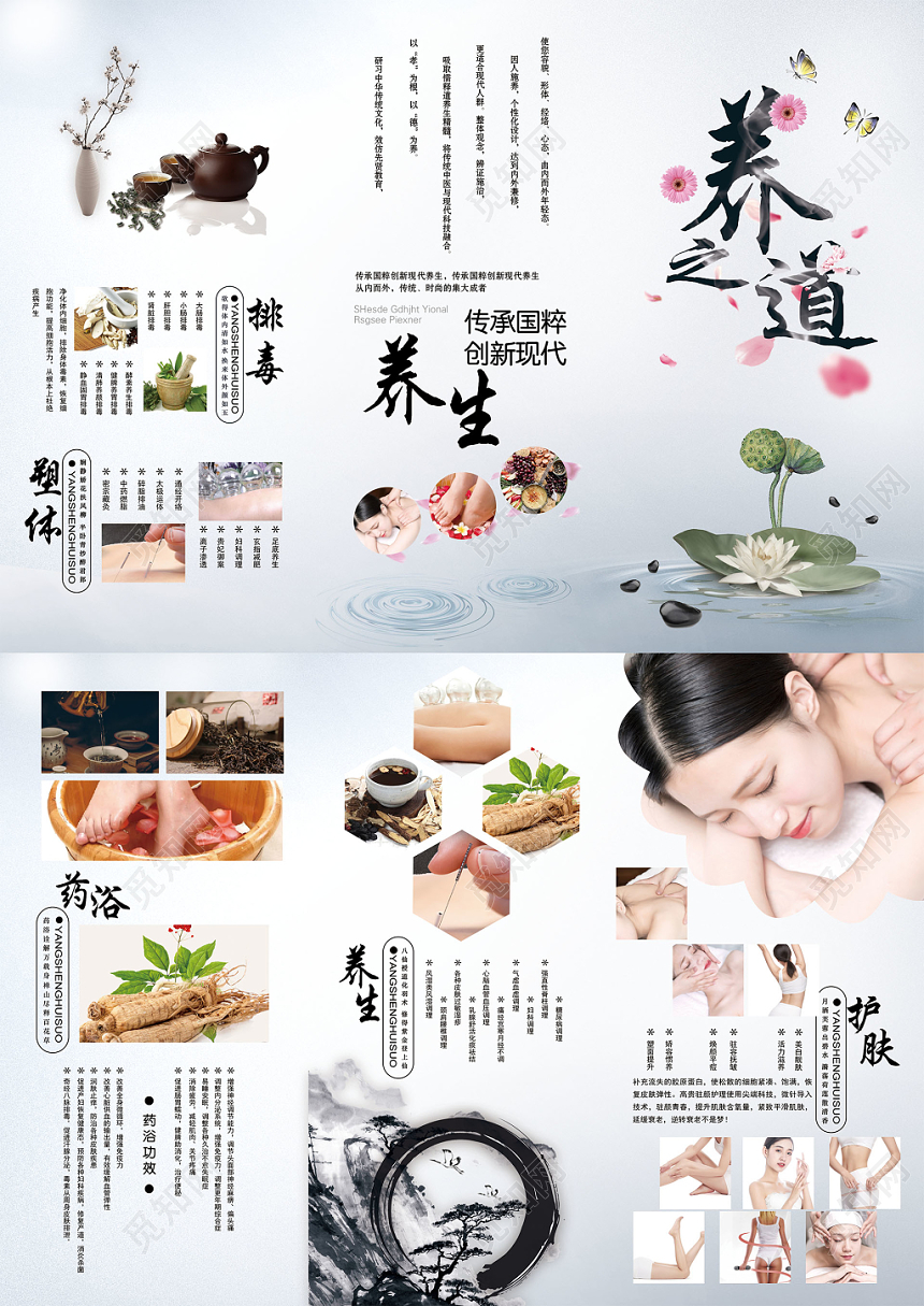 古风淡雅养生排毒塑体养之道宣传折页
