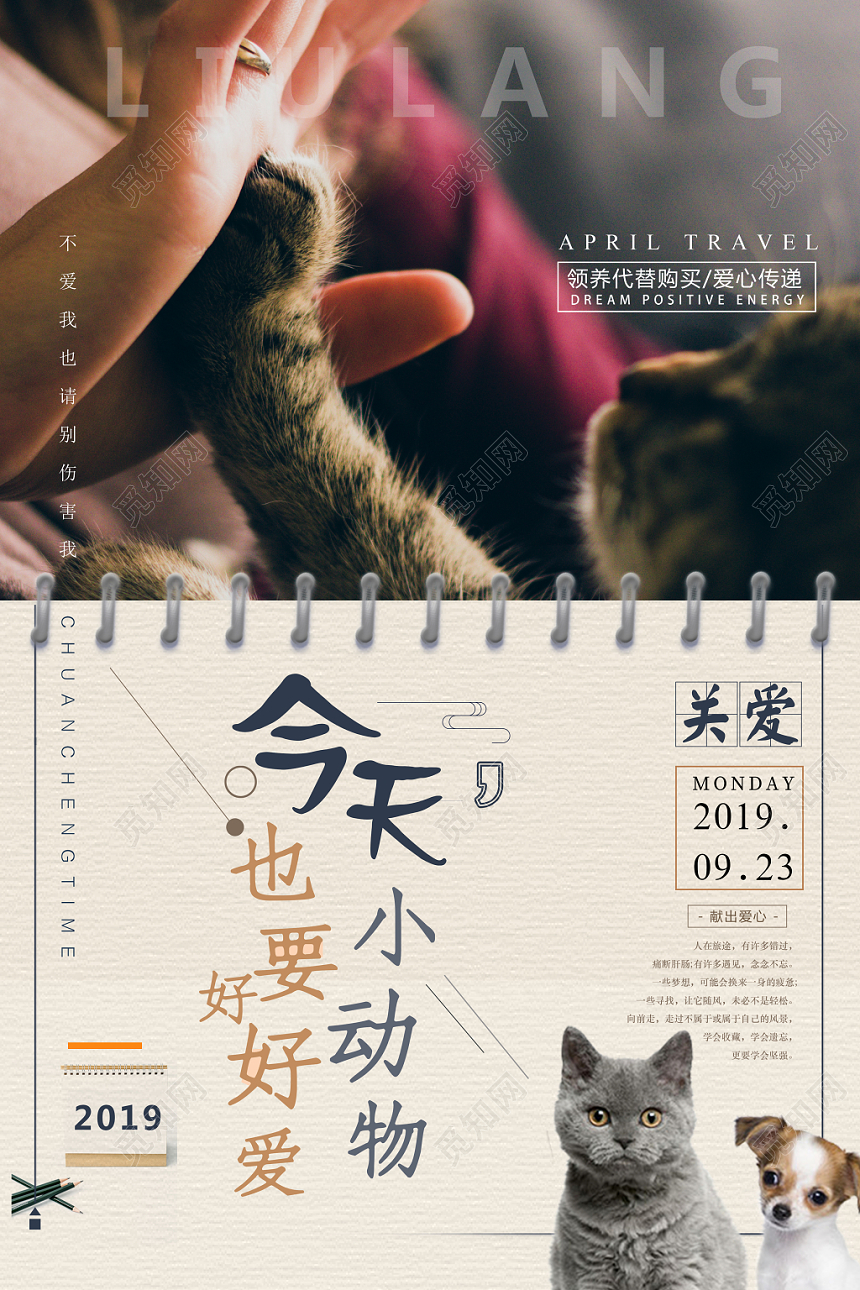 流浪猫狗关爱小动物爱心公益海报