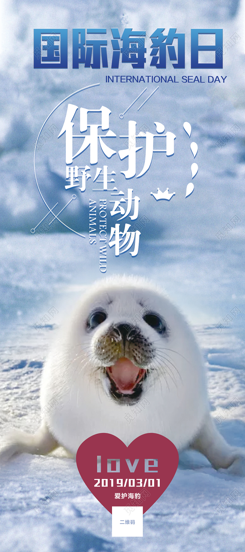 国际海豹日保护野生动物公益易拉宝设计
