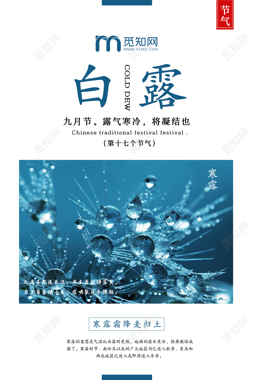 简约原创二十四节气白露海报