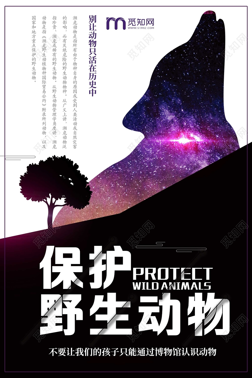 黑白星空狼保护野生动物大自然濒危动物海报