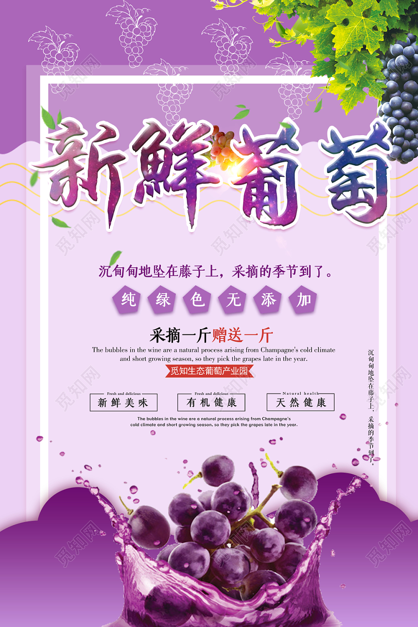 紫色梦幻新鲜水果葡萄宣传海报