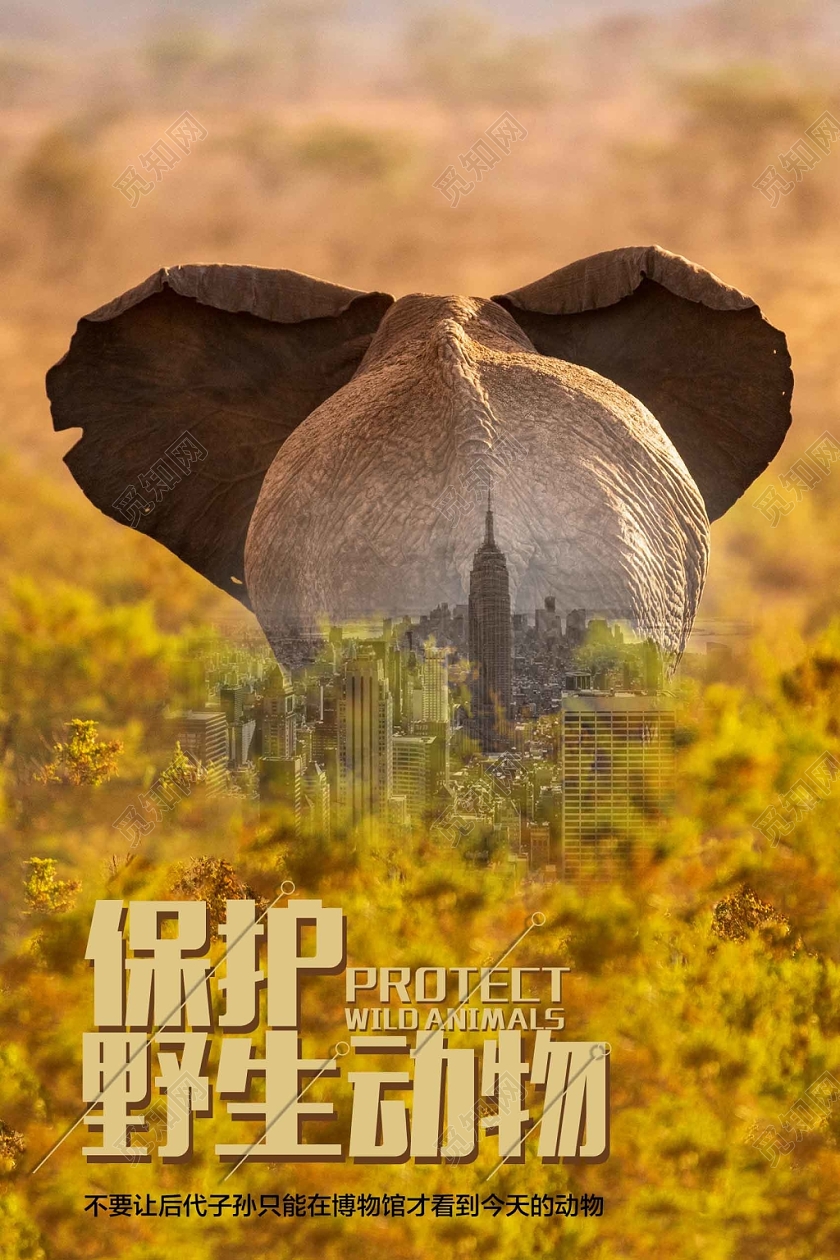 黄色经典保护动物保护野生动物公益海报