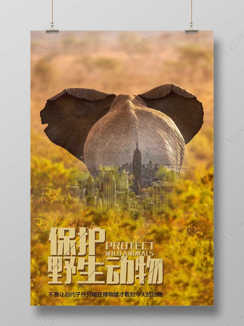 黄色经典保护动物保护野生动物公益海报