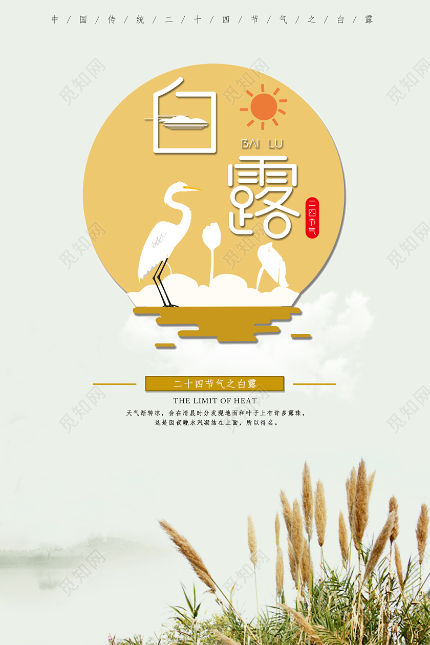 简约卡通插画白露二十四节气宣传海报