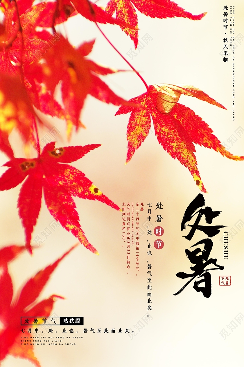 中国传统二十四节气接诶处暑宣传海报