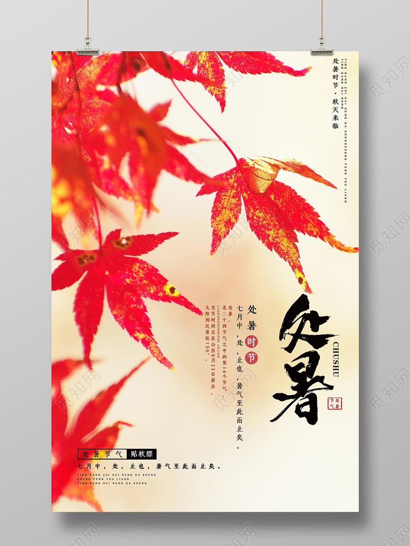中国传统二十四节气接诶处暑宣传海报