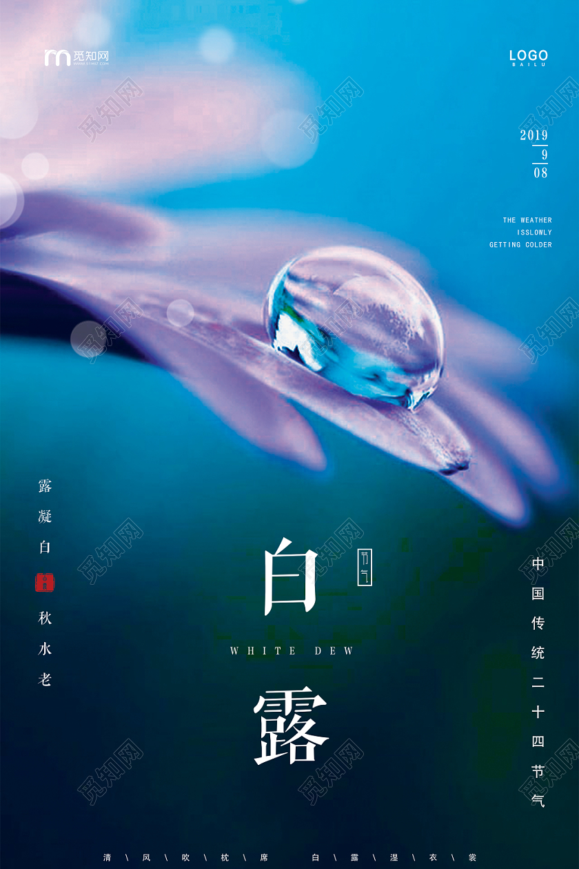 简约意境二十四节气白露宣传海报