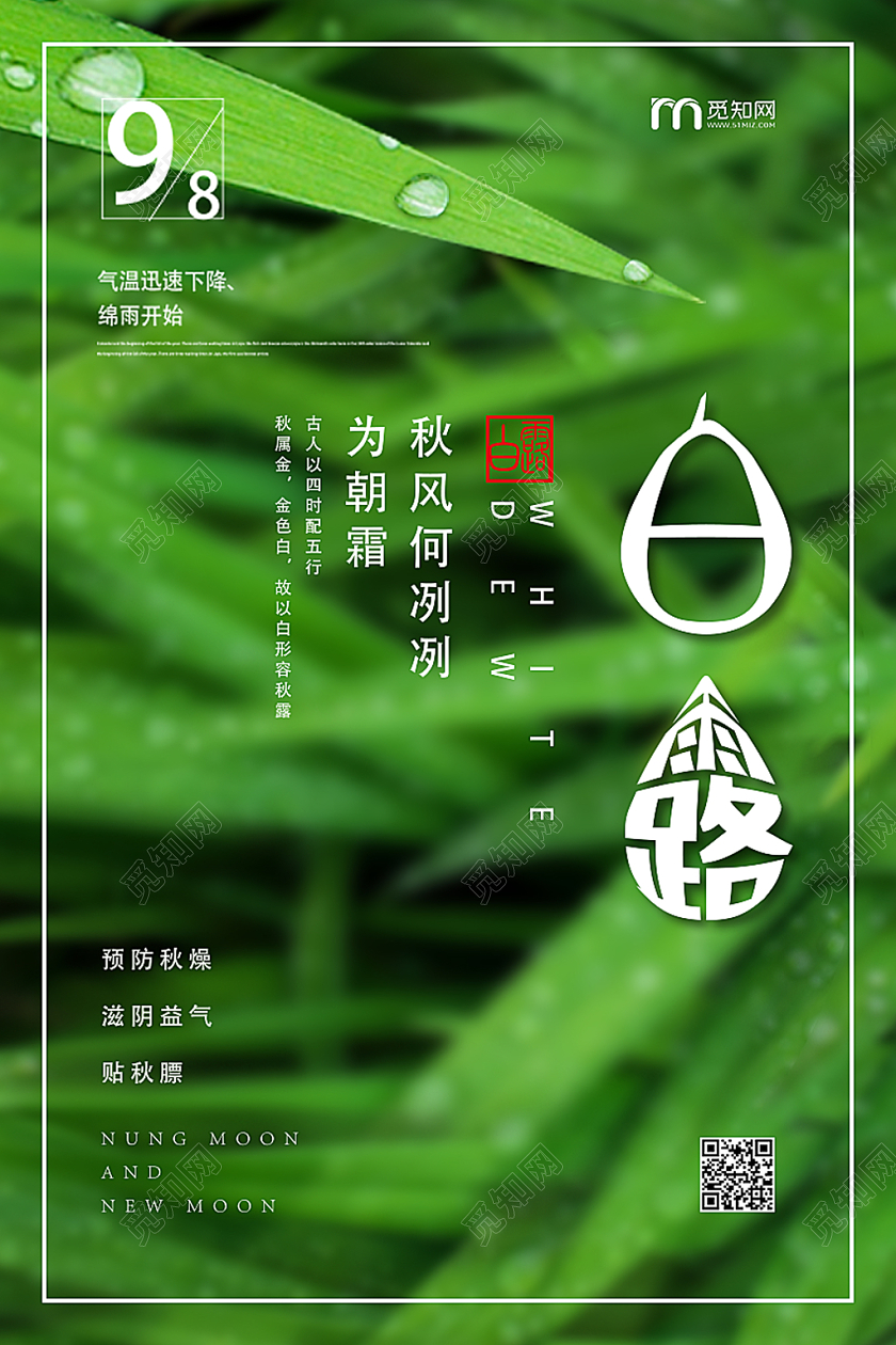 创意简约字体设计白露二十四节气宣传海报
