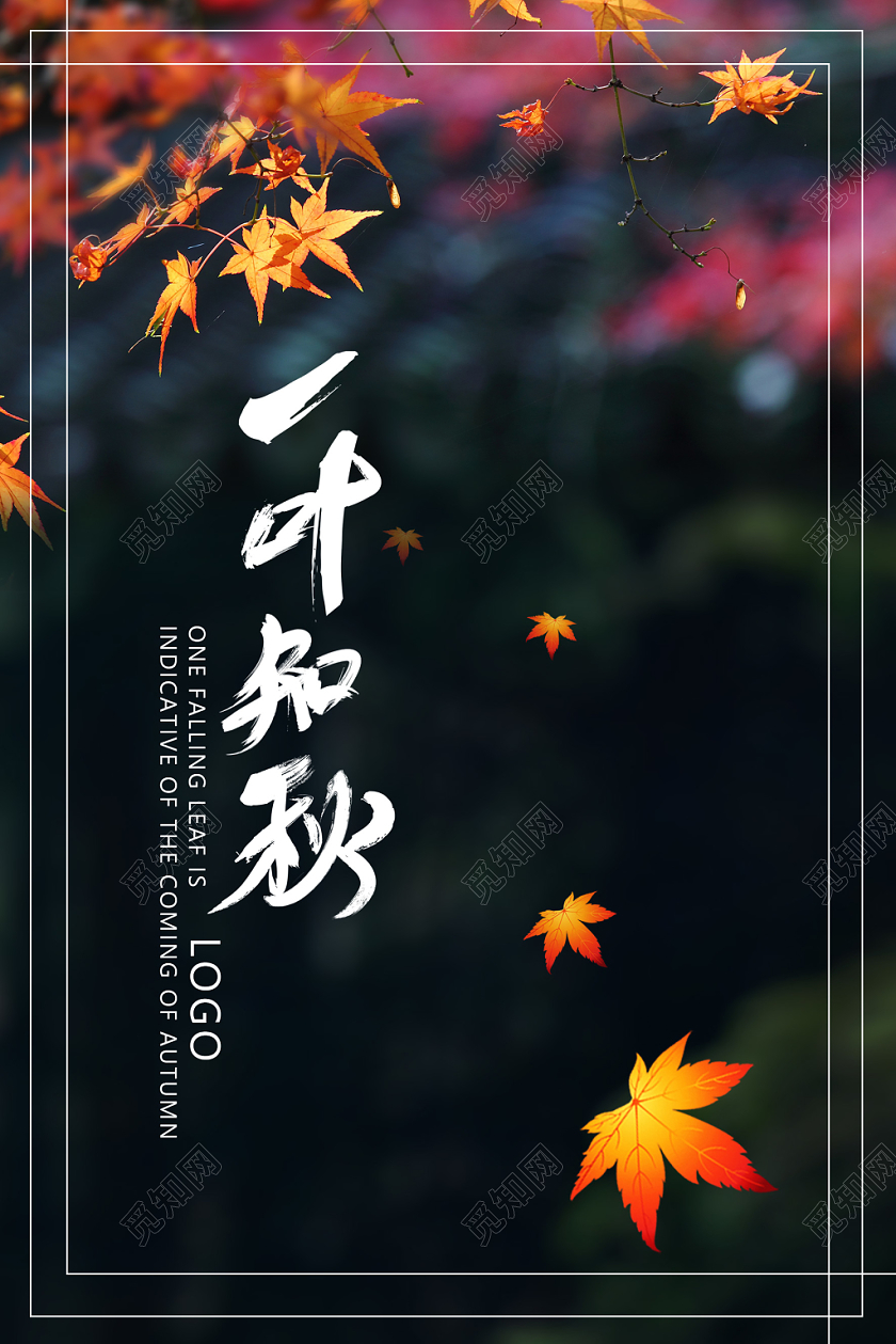 唯美风景秋天一叶知秋宣传精品海报