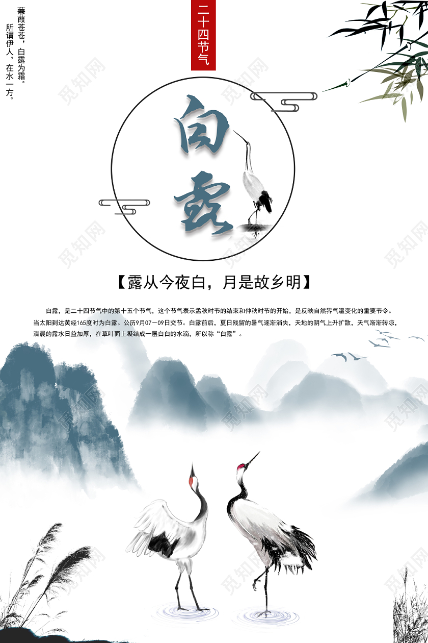 白色简约水墨画白露二十四节气宣传海报