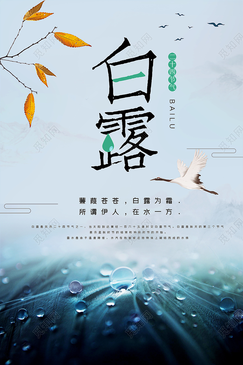 中国传统节日二十四节气之白露简约风格宣传海报