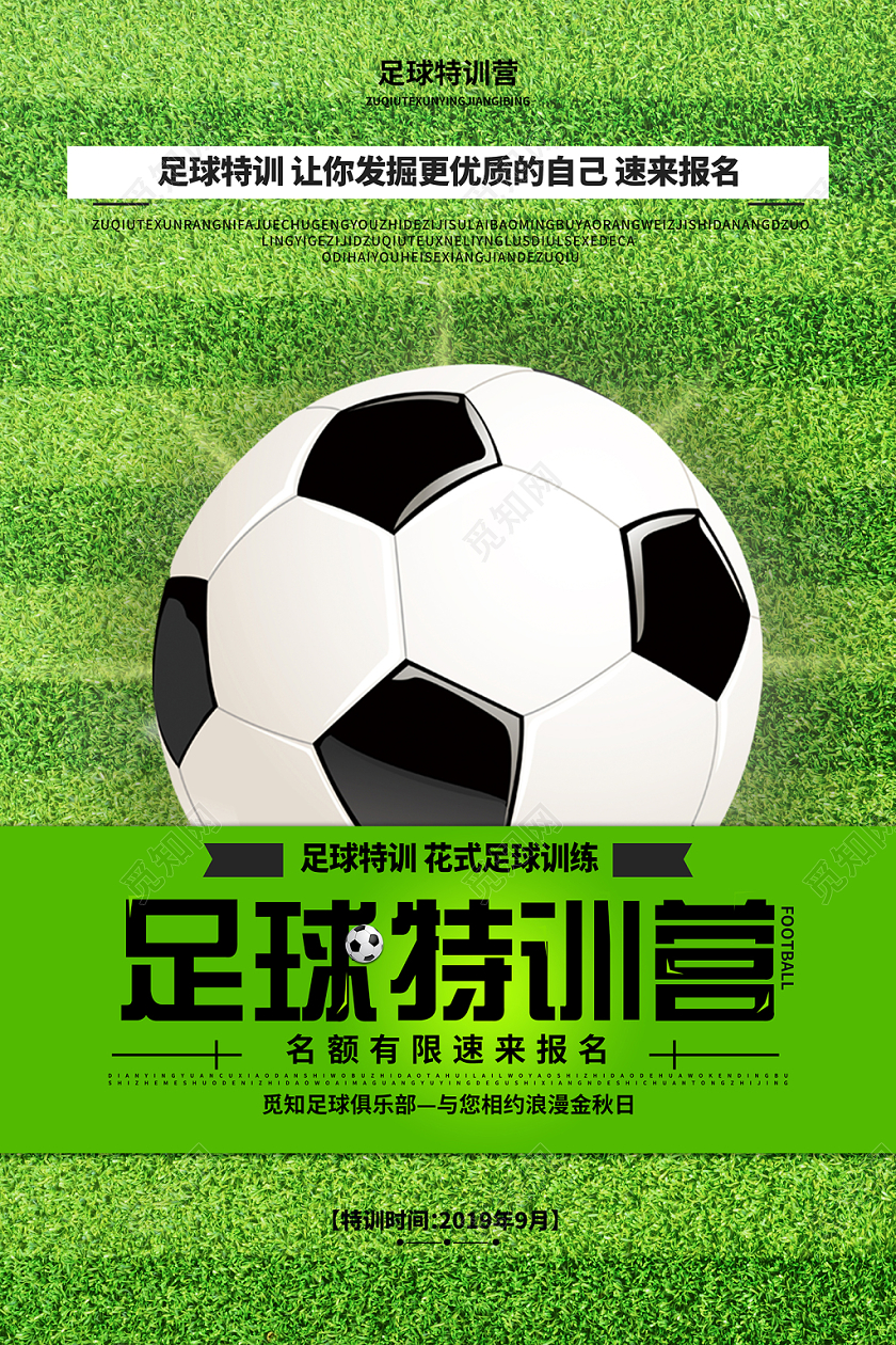 绿色简约足球特训营足球体育运动宣传海报