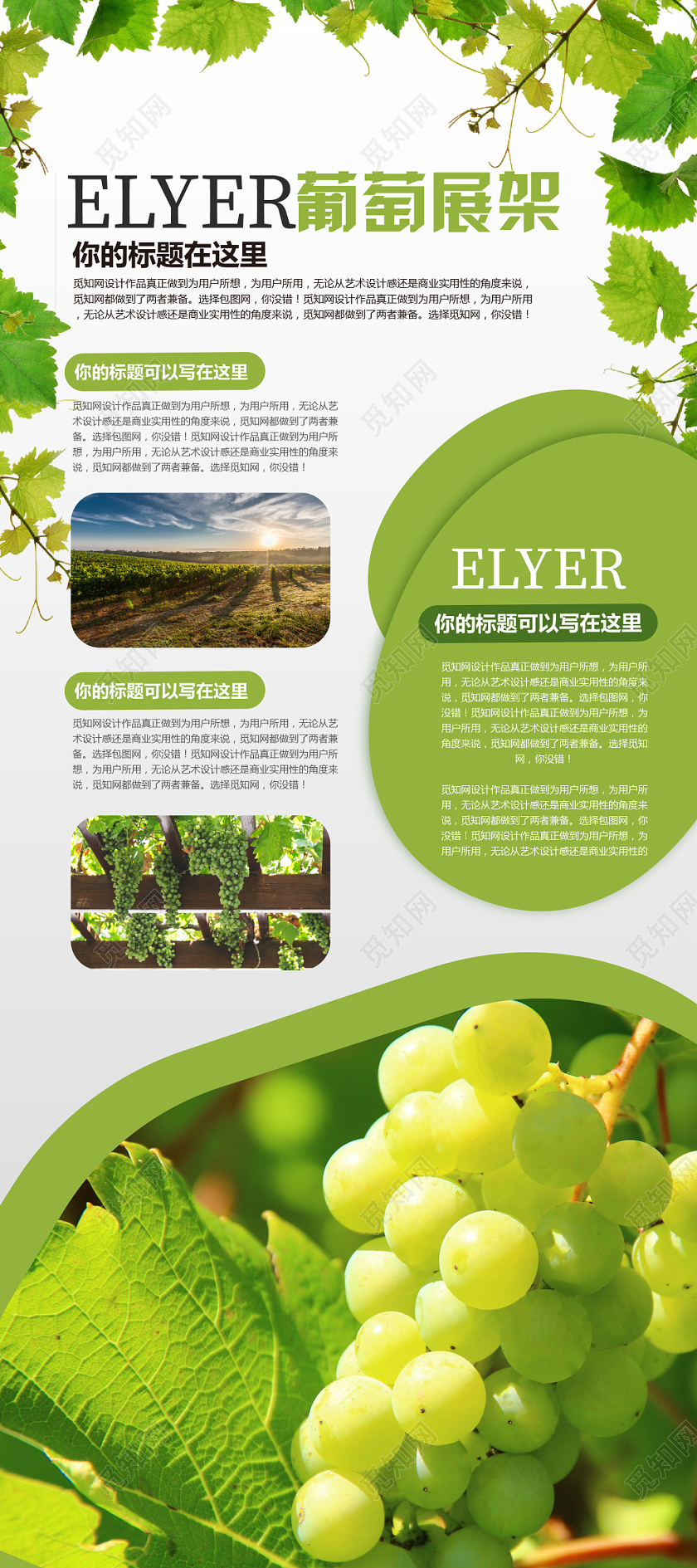 时尚简约绿色水果葡萄介绍易拉宝展架设计