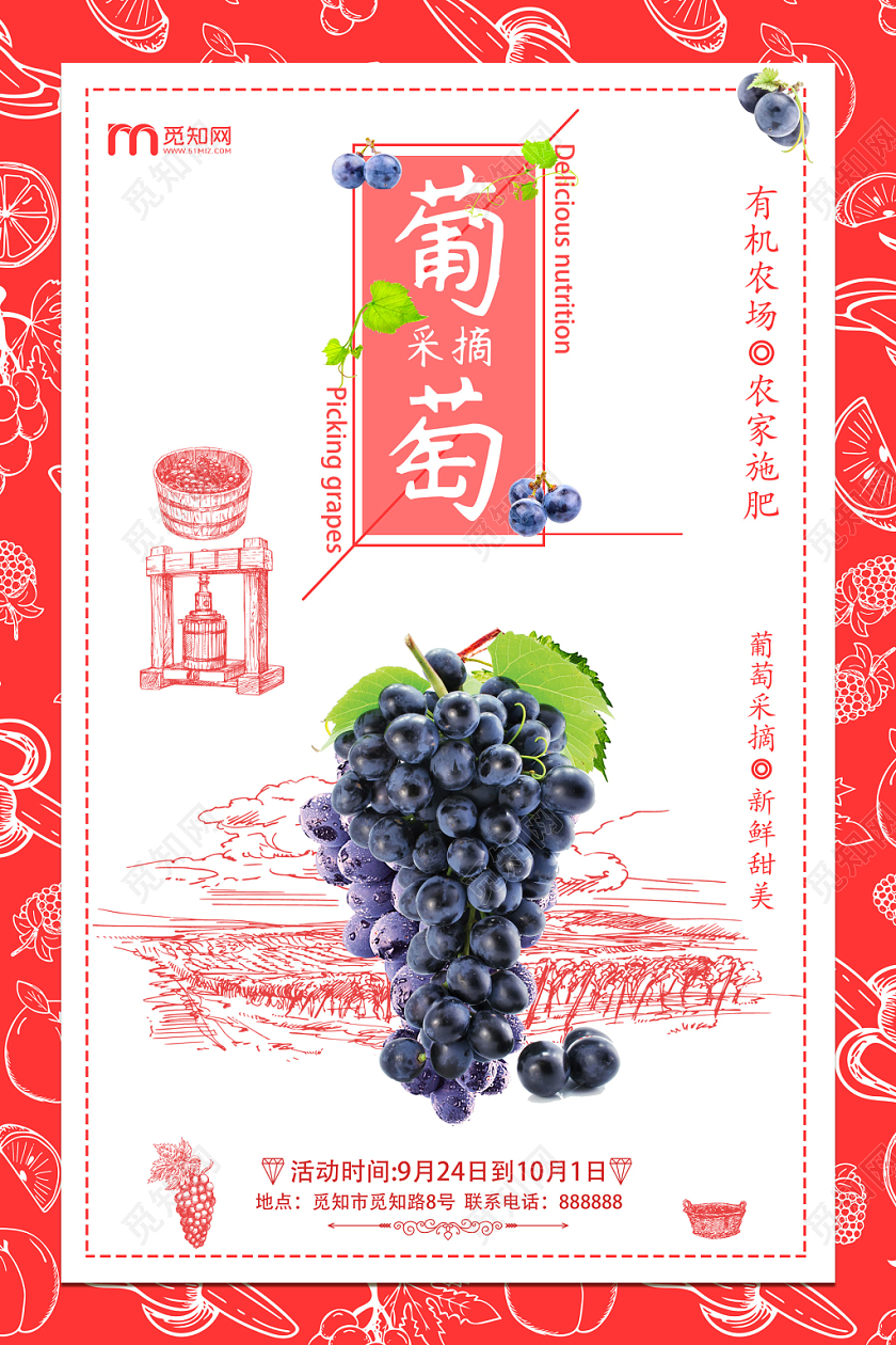 红色手绘风矢量水果葡萄海报