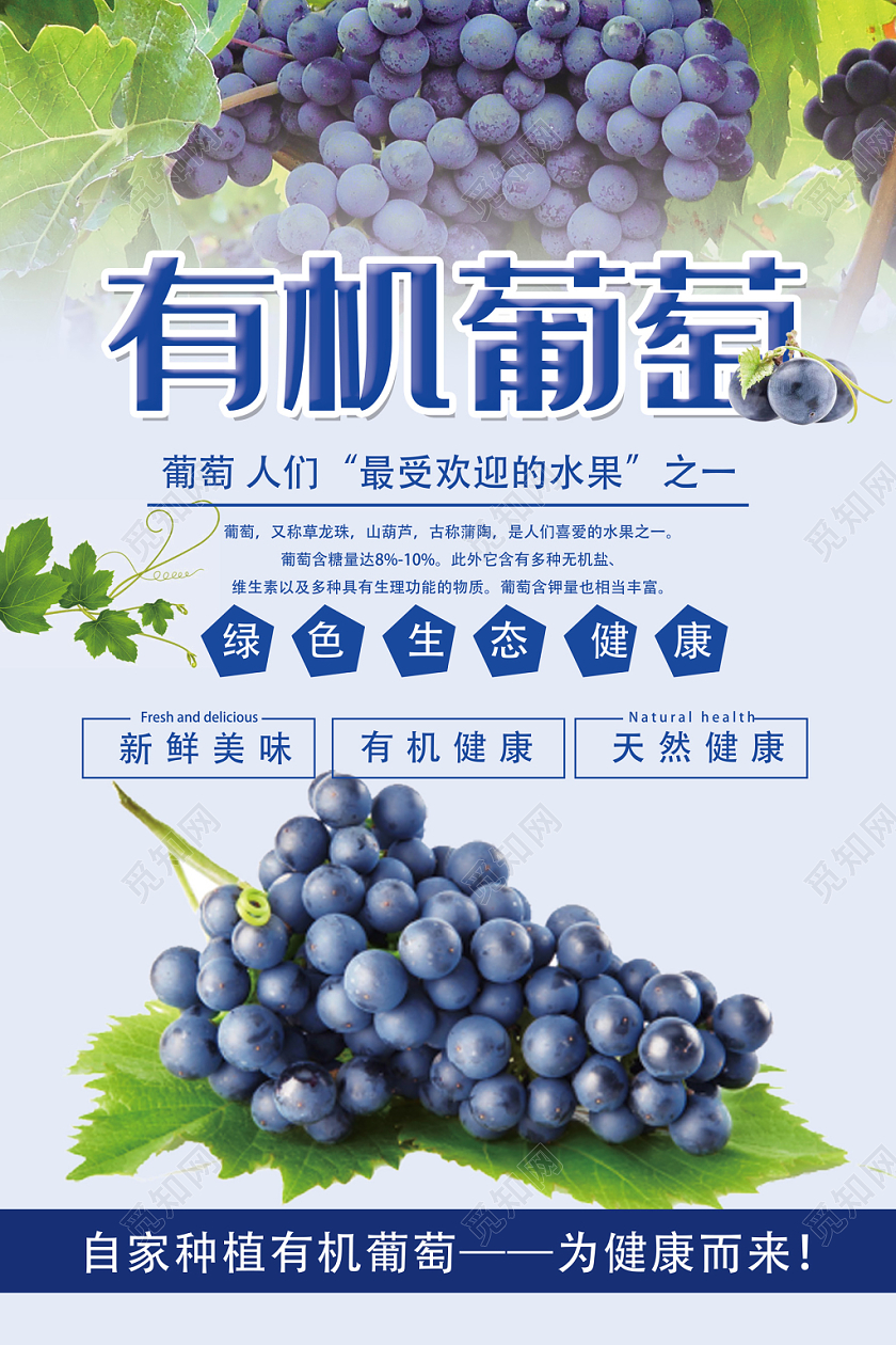 青色创意水果葡萄有机葡萄海报