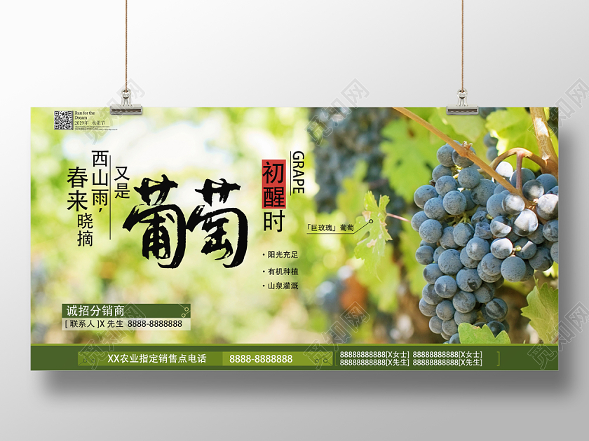 绿色田园风水果葡萄单面展板